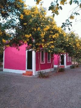 ขายรีสอร์ท เพลินชีวารีสอร์ทพร้อมบ้าน 1 หลัง ในจังหวัดนครสวรรค์ พื้นที่รวม 3 ไร่ ต่อรองได้ (เจ้าของขายเอง)